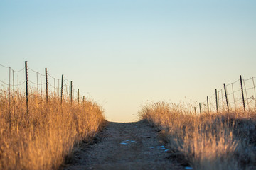 Obraz premium Hiking path among the fields 