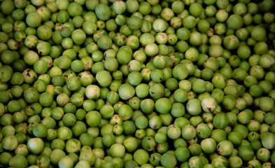 organic or pea eggplants in , thailand vegetables backgounds