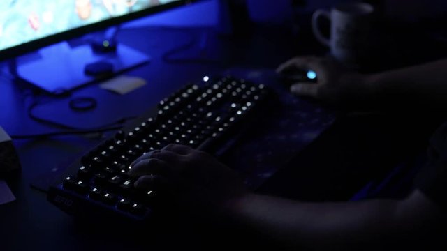 Gamer playing a computer game