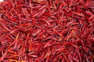 Fototapeta premium Dried red hot chilli peppers, food ingredient