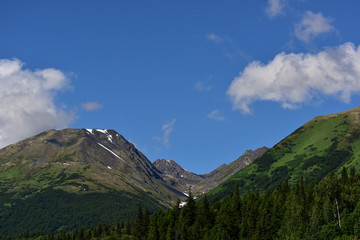 Alaska Mountain Landscape
