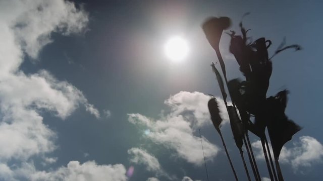Black Flag in the backlight of the bright summer sun in Denmark on the beach, the flag is jittering drastically in the wind. With a light pan and lens flare.