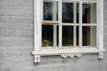 The cat is sleeping in a village house near the window. View from the street side