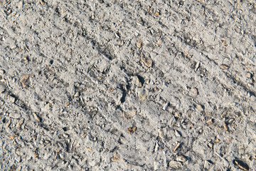 Concrete Background Texture