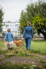 Girls with oranges in the Orange Orchard. Beautiful sisters with Organic Orange in the Garden. Harvest Concept. Garden, teenagers eating fruits at fall harvest.