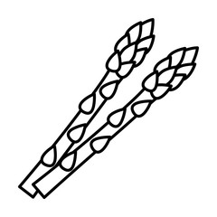 Two garden asparagus or sparrow grass line art vector icon for vegetable apps and websites