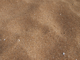 Maui Beach Sand