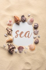 Fototapeta na wymiar Frame of various seashells on sandy beach with 