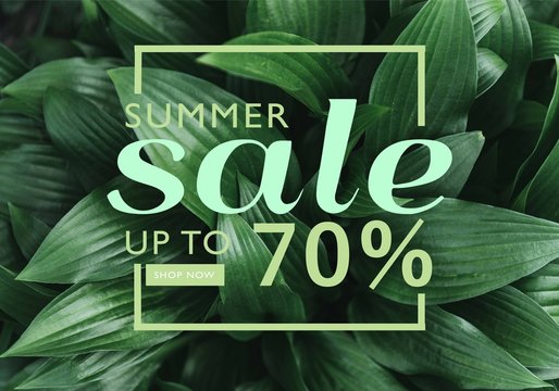 Full frame image of hosta leaves with summer sale discount in frame