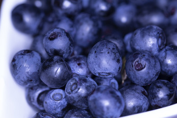 Pick blueberries in a white porcelain bowl. A large number of blue bilberries. Organic blueberries in a mug for healthy eating 