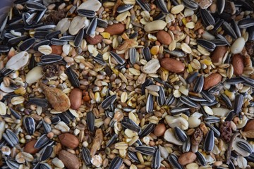 Sonnenblumensamen, Erdnüsse und verschiedene andere Körner