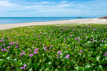Blue sky on the beach at Andaman sea