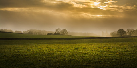 Windsor Great Park