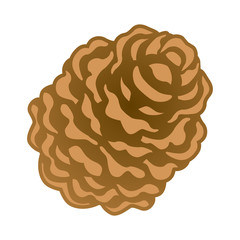 Pine cones clip art