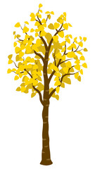 Naklejka na ściany i meble Yellow colored autumn tree