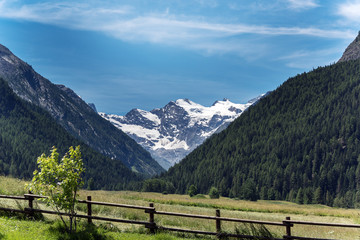 Fototapeta na wymiar Alpine landscape next to Cogne village, Aosta valley, Italy.