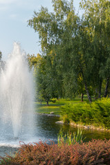 A high beating fountain in the middle of a transparent lake with decorative green flower beds