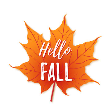 Hello fall on orange maple leaf background. Vector illustration. Autumn season banner. Poster, card design with inscriptionl, colorful imprints foliage, lettering phrase. Concept advertising.