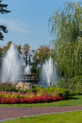 high fountains spray water over a lake in a park with beautiful flowerbeds. Mezhyhirya Ukraine
