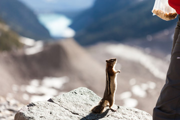 Canadian Rockies Canada Banff National Park