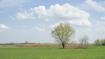 Fototapeta premium Sunny day in the middle of Hungary