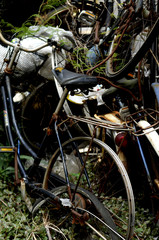 Fototapeta na wymiar 廃棄自転車
