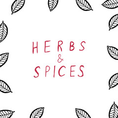 Herbs and Spices vector Frame