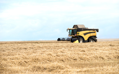 Obraz premium moissonneuse batteuse en activité sur champ de céréales