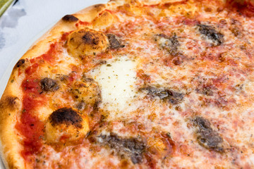 Tasty Italian pizza with anchovies