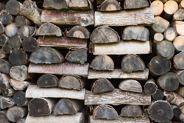 Texture of cut wooden trunks