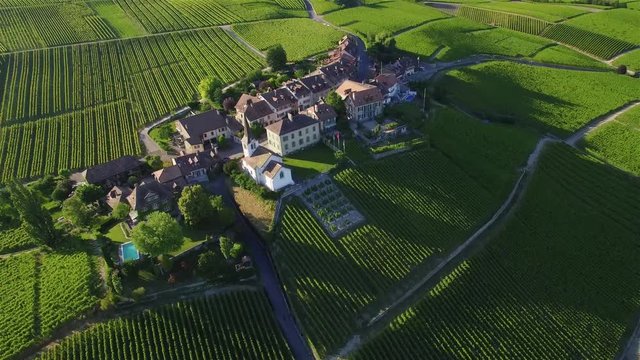 4K Aerial footage of Vineyard fields between Lausanne and Geneva in Switzerland -UHD