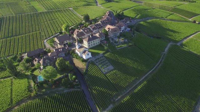 4K ungraded Aerial footage of Vineyard fields between Lausanne and Geneva in Switzerland -UHD