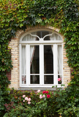 Fototapeta na wymiar Cottage window with ivy