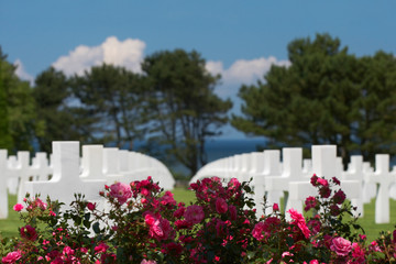 Roses and graves