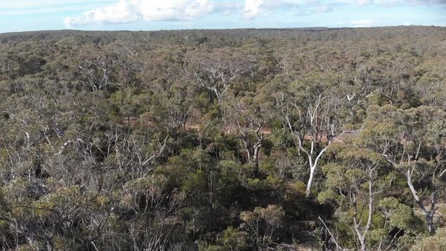 Australia outback aerial footage over dry bush scrub forest