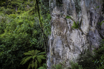 Tarawera Walkway - Rotorua 