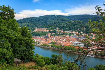 Fototapeta na wymiar Ausblick vom Philosophenweg auf die Altstadt von Heidelberg mit dem Schloss und der Heiliggeistkirche, Baden Württemberg, Deutschland