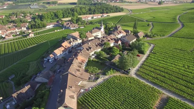 4K ungraded Aerial footage of Vineyard fields between Lausanne and Geneva in Switzerland -UHD