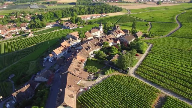 4K Aerial footage of Vineyard fields between Lausanne and Geneva in Switzerland -UHD