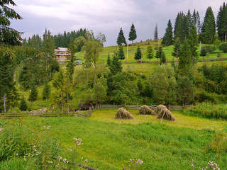 a wooden rustic house in the mountains between the spruce plantations on a cloudy day