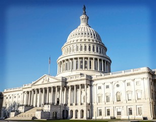 Obraz premium United States Capitol Building in Washington DC