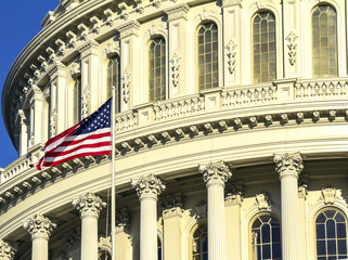 United States Capitol Building in Washington DC