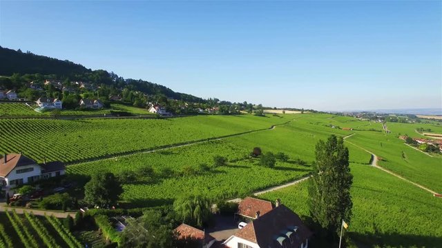4K Aerial footage of Vineyard fields between Lausanne and Geneva in Switzerland -UHD