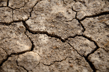 Close-up Dry cracked earth. Drought, the ground cracks,  lack of moisture. Dried and Cracked surface,Dry soil in arid areas.