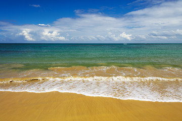 sea surf on the beach