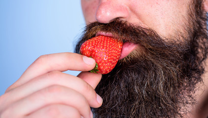 Male face beard try strawberry. Gastronomic pleasure. Desire concept. Oral pleasure. Enjoy juicy ripe red strawberry. Man eat sweet strawberry, close up. Berry male mouth surrounded beard mustache