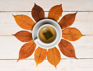 Fototapeta na wymiar Cup of green tea with tea bag put on leaves