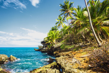 Fototapeta premium Dziki tropikalny skalisty brzeg, zatoka, laguna.