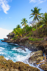 Wild tropical rocky shore, bay, lagoon.