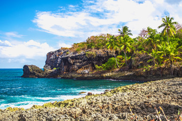 Wild tropical rocky shore, bay, lagoon.